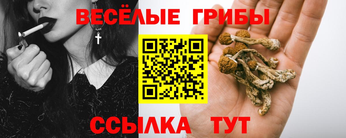 Галлюциногенные грибы прущие грибы  Вход с VPN  купить наркотик  Новокуйбышевск 