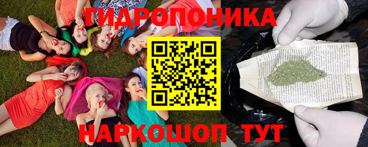 Бошки марихуана семена  Вход с VPN  Канабис сатива  Новокуйбышевск  Конопля AK-47 
